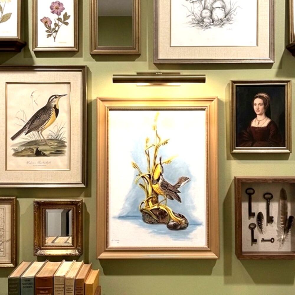 Framed vintage singing Western Meadowlark on rocks w/golden grass stalks signed